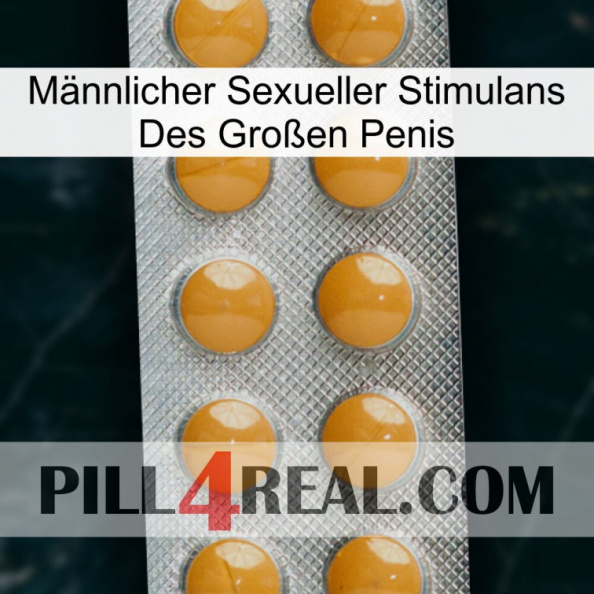 Männlicher Sexueller Stimulans Des Großen Penis levitra1.jpg